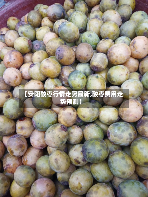 【安阳酸枣行情走势最新,酸枣费用走势预测】