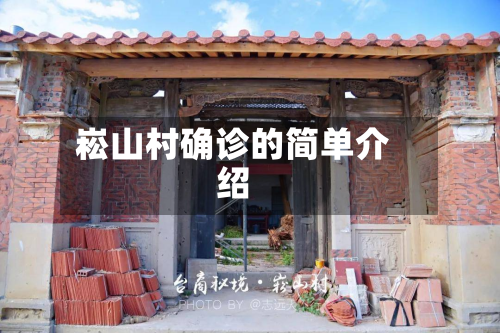 崧山村确诊的简单介绍-第2张图片