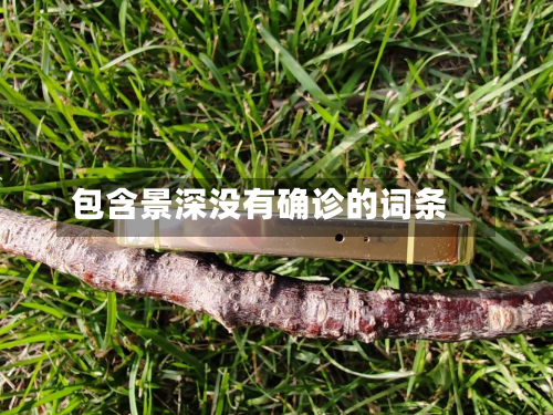 包含景深没有确诊的词条-第3张图片