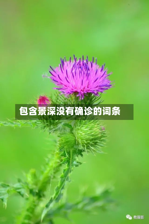 包含景深没有确诊的词条