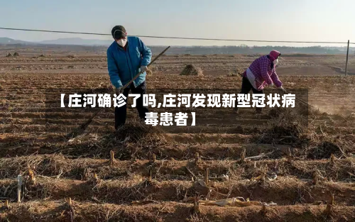 【庄河确诊了吗,庄河发现新型冠状病毒患者】
