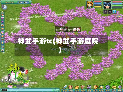 神武手游tc(神武手游庭院)