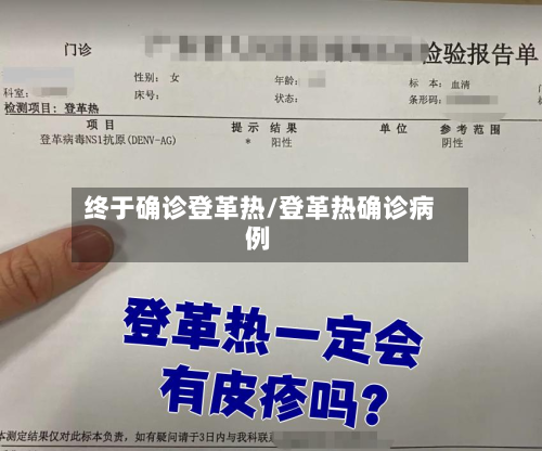 终于确诊登革热/登革热确诊病例