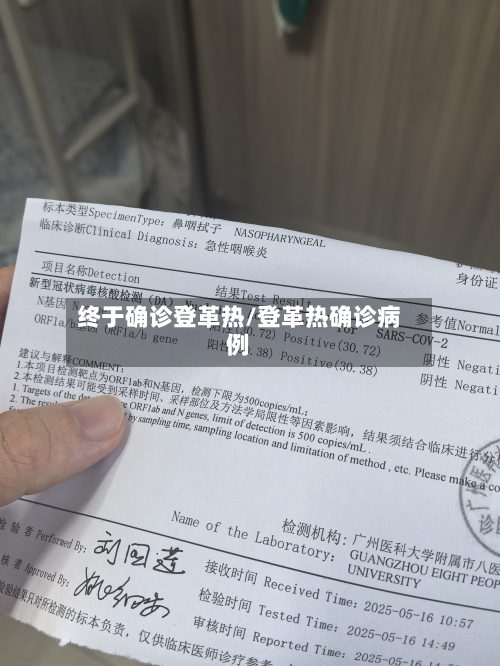 终于确诊登革热/登革热确诊病例-第2张图片