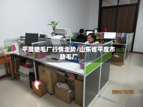 平度睫毛厂行情走势/山东省平度市睫毛厂