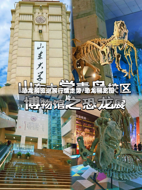 恐龙展览巡展行情走势/恐龙展览图片