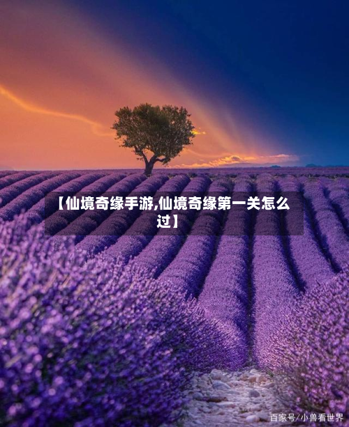 【仙境奇缘手游,仙境奇缘第一关怎么过】