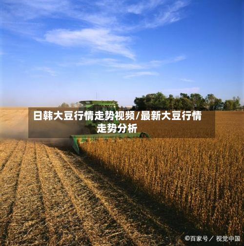 日韩大豆行情走势视频/最新大豆行情走势分析-第2张图片