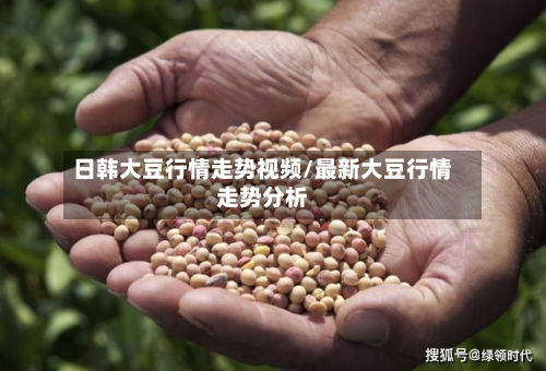日韩大豆行情走势视频/最新大豆行情走势分析