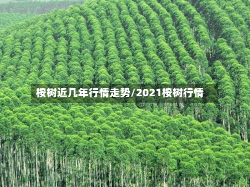 桉树近几年行情走势/2021桉树行情-第2张图片