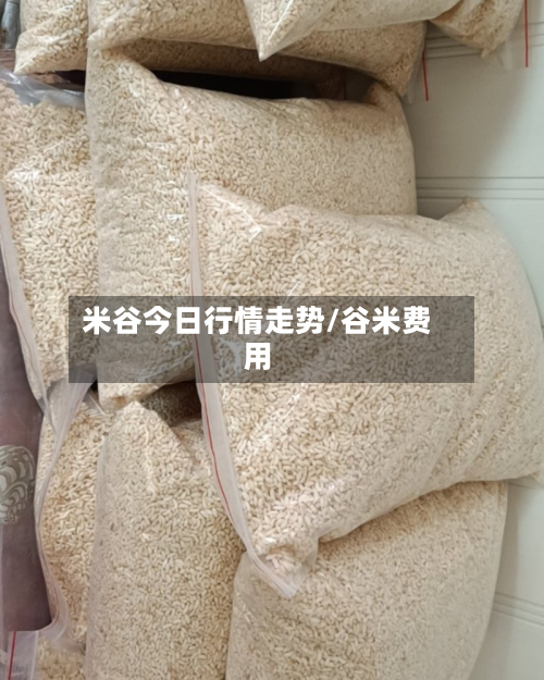 米谷今日行情走势/谷米费用