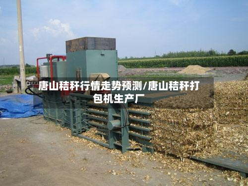 唐山秸秆行情走势预测/唐山秸秆打包机生产厂-第3张图片