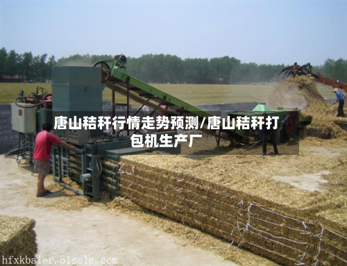 唐山秸秆行情走势预测/唐山秸秆打包机生产厂-第2张图片