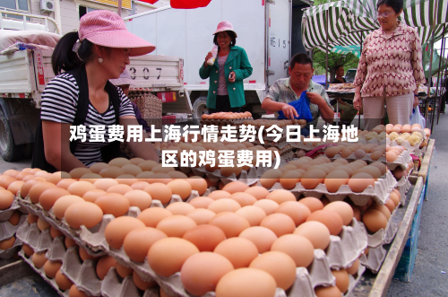 鸡蛋费用上海行情走势(今日上海地区的鸡蛋费用)-第3张图片