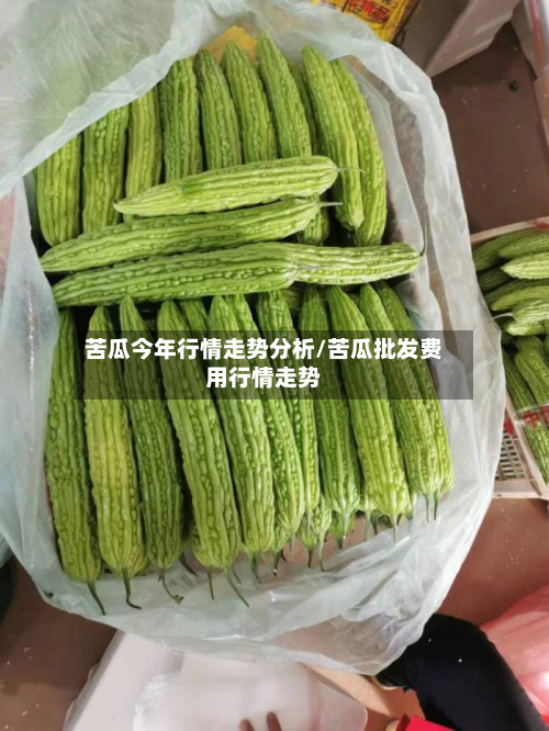 苦瓜今年行情走势分析/苦瓜批发费用行情走势-第2张图片
