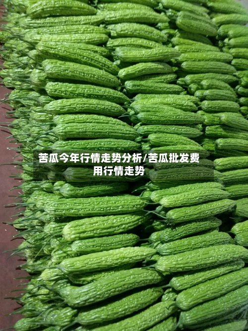 苦瓜今年行情走势分析/苦瓜批发费用行情走势
