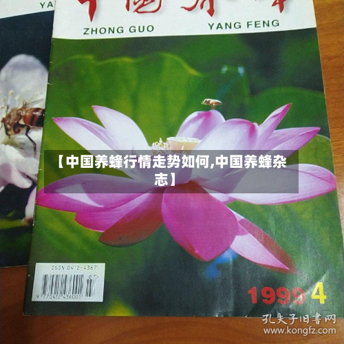 【中国养蜂行情走势如何,中国养蜂杂志】