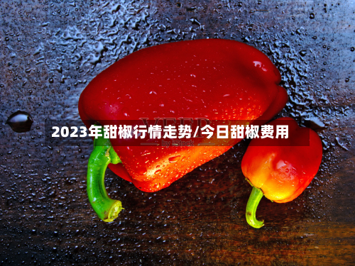 2023年甜椒行情走势/今日甜椒费用-第2张图片