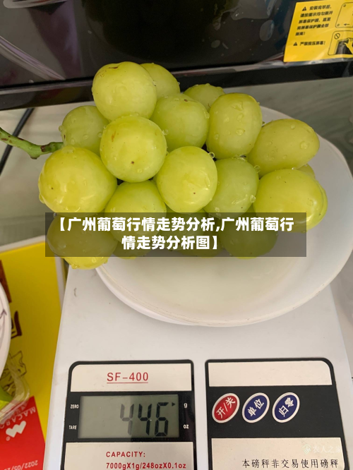 【广州葡萄行情走势分析,广州葡萄行情走势分析图】-第3张图片