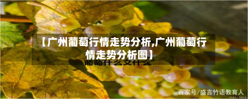 【广州葡萄行情走势分析,广州葡萄行情走势分析图】