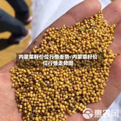 内蒙菜籽价位行情走势/内蒙菜籽价位行情走势图