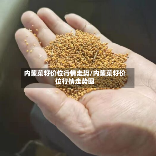 内蒙菜籽价位行情走势/内蒙菜籽价位行情走势图-第3张图片