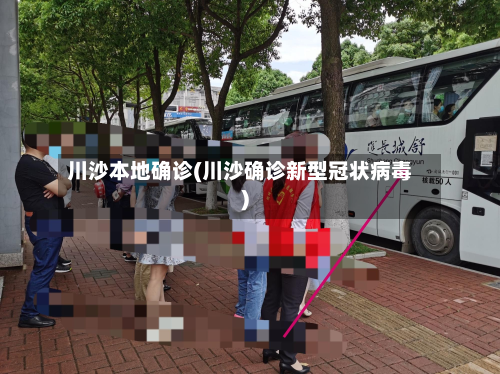 川沙本地确诊(川沙确诊新型冠状病毒)-第2张图片