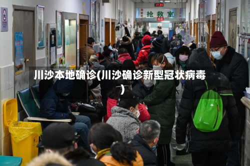 川沙本地确诊(川沙确诊新型冠状病毒)-第3张图片
