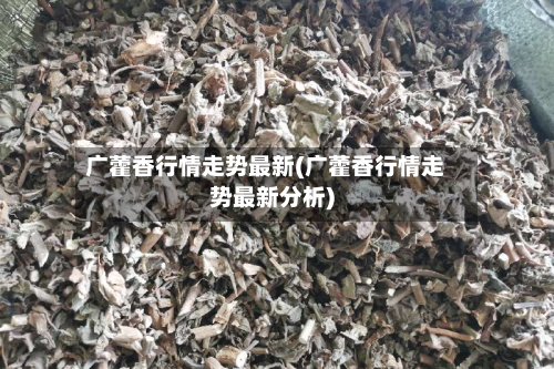 广藿香行情走势最新(广藿香行情走势最新分析)-第2张图片