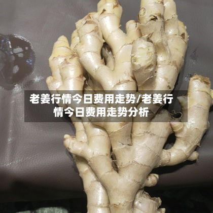 老姜行情今日费用走势/老姜行情今日费用走势分析-第2张图片