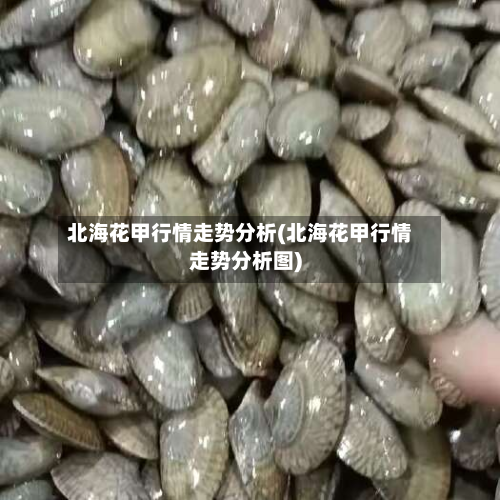 北海花甲行情走势分析(北海花甲行情走势分析图)-第2张图片