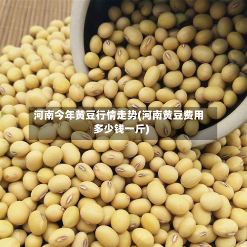 河南今年黄豆行情走势(河南黄豆费用多少钱一斤)