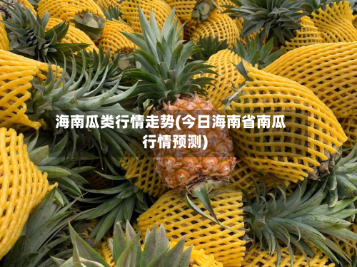 海南瓜类行情走势(今日海南省南瓜行情预测)-第2张图片