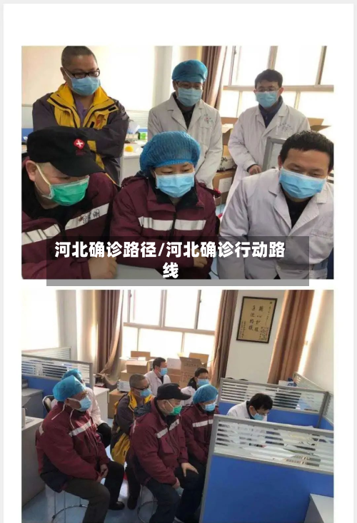 河北确诊路径/河北确诊行动路线
