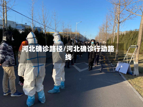 河北确诊路径/河北确诊行动路线-第3张图片