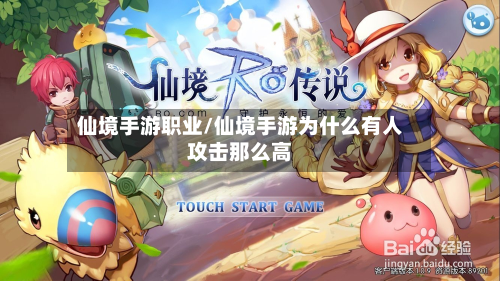 仙境手游职业/仙境手游为什么有人攻击那么高