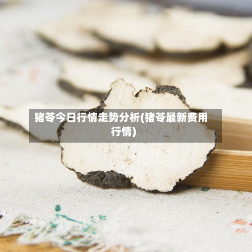 猪苓今日行情走势分析(猪苓最新费用行情)-第3张图片