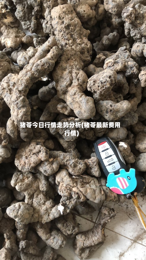 猪苓今日行情走势分析(猪苓最新费用行情)