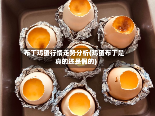 布丁鸡蛋行情走势分析(鸡蛋布丁是真的还是假的)-第2张图片