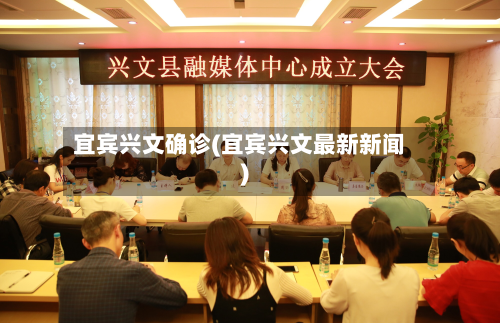 宜宾兴文确诊(宜宾兴文最新新闻)-第3张图片