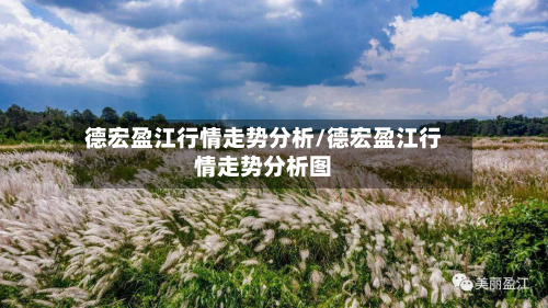 德宏盈江行情走势分析/德宏盈江行情走势分析图-第2张图片