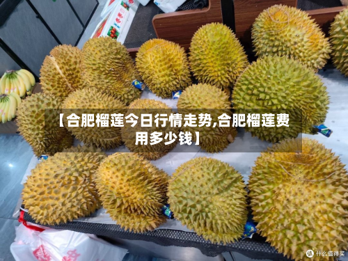【合肥榴莲今日行情走势,合肥榴莲费用多少钱】-第2张图片