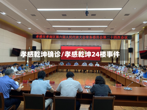 孝感乾坤确诊/孝感乾坤24楼事件-第3张图片