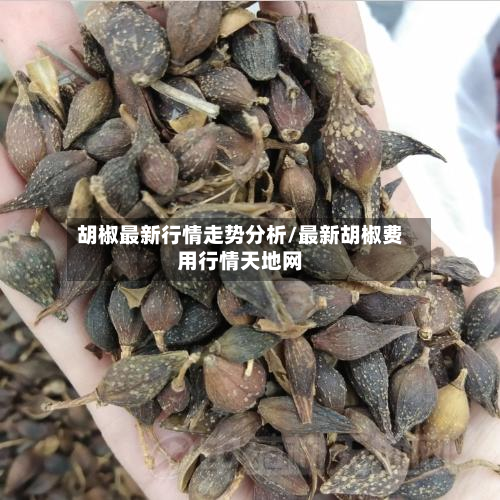 胡椒最新行情走势分析/最新胡椒费用行情天地网-第2张图片