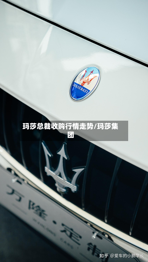 玛莎总裁收购行情走势/玛莎集团-第2张图片