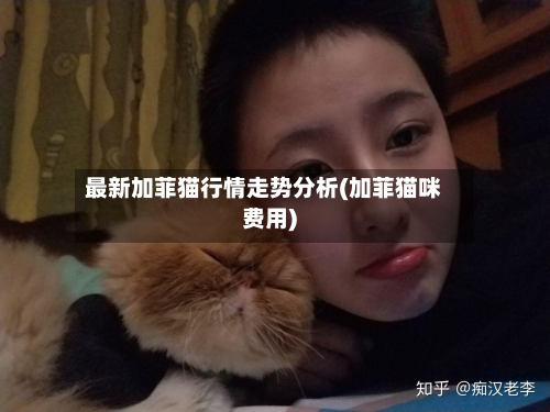 最新加菲猫行情走势分析(加菲猫咪费用)-第2张图片