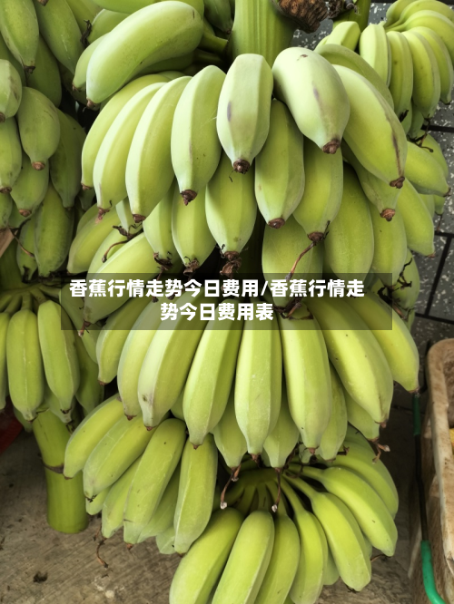 香蕉行情走势今日费用/香蕉行情走势今日费用表-第3张图片