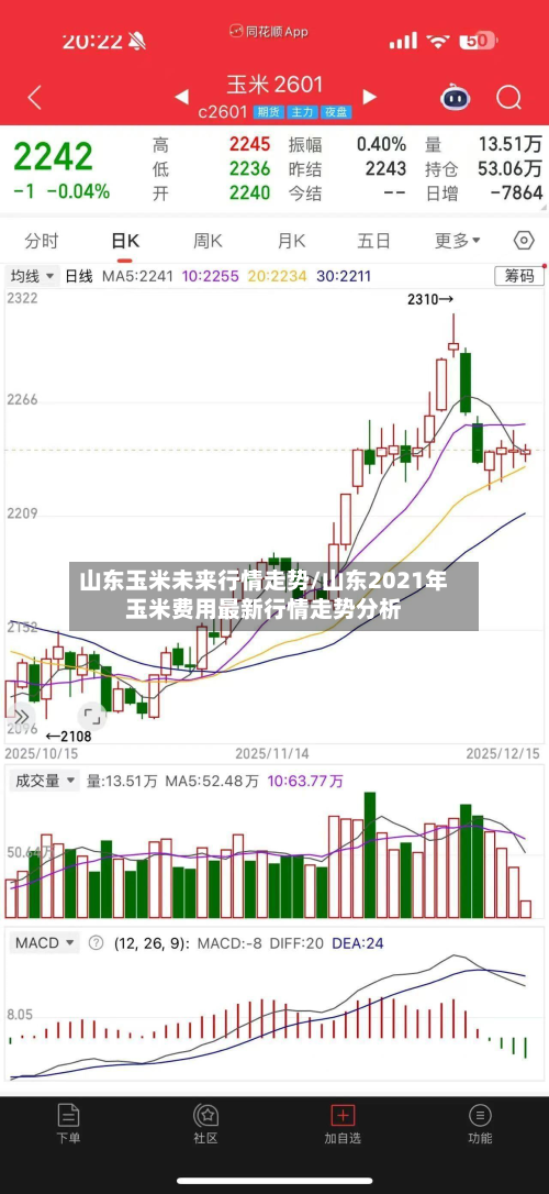 山东玉米未来行情走势/山东2021年玉米费用最新行情走势分析