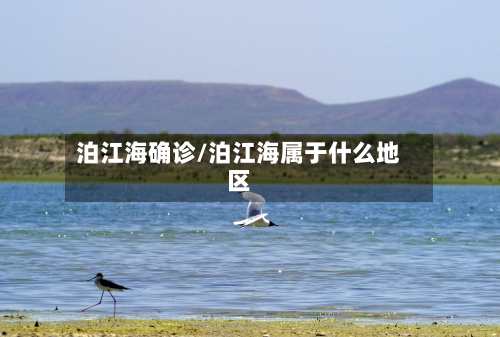泊江海确诊/泊江海属于什么地区