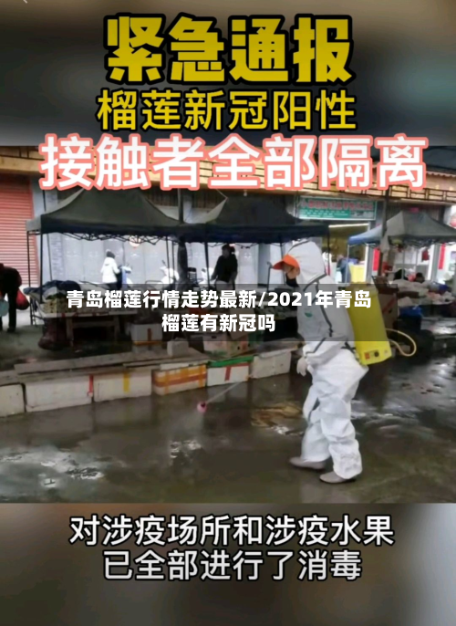 青岛榴莲行情走势最新/2021年青岛榴莲有新冠吗-第2张图片